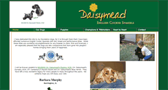 Desktop Screenshot of daisymeadecs.com